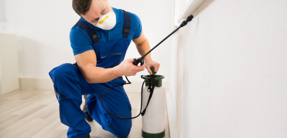 Ben’s Pest Control: Your Trusted Exterminator for Superior Pest Control in Stuart, FL